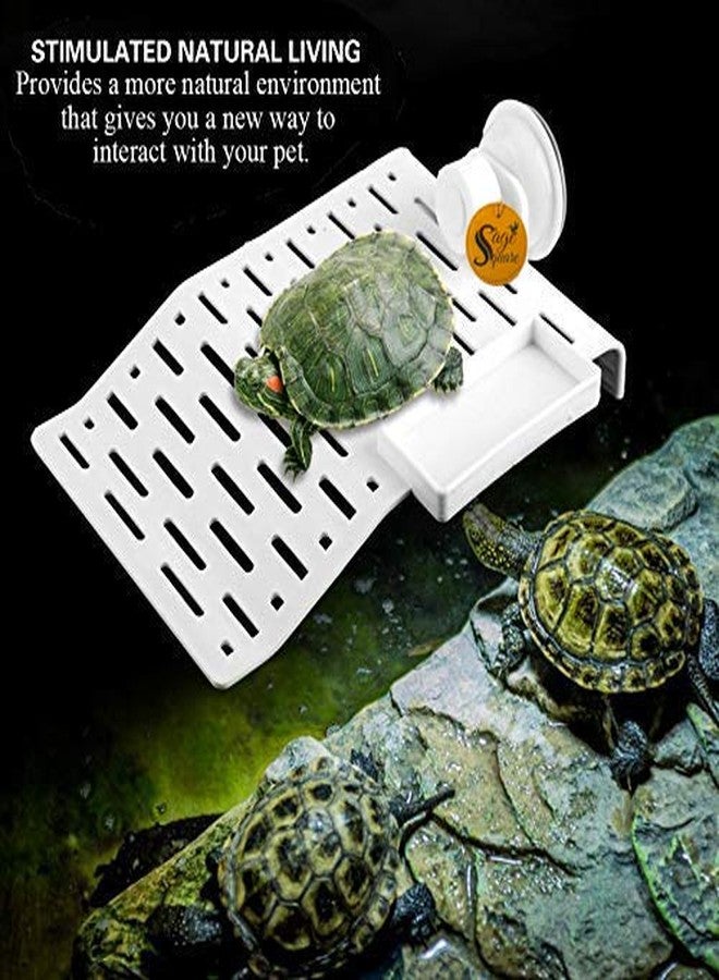 سايج سكوير منصة مربعة من سيج تُستخدم كمنحدر للتشمس (مع وعاء طعام) لتزيين أحواض السمك مع كوب شفط للسلاحف والزواحف وأحواض السمك والبرمائيات الصغيرة (حجم صغير) - Image 2